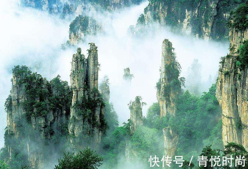 少年说!故事:书生结识狐公子,以性命为狐族挡灾