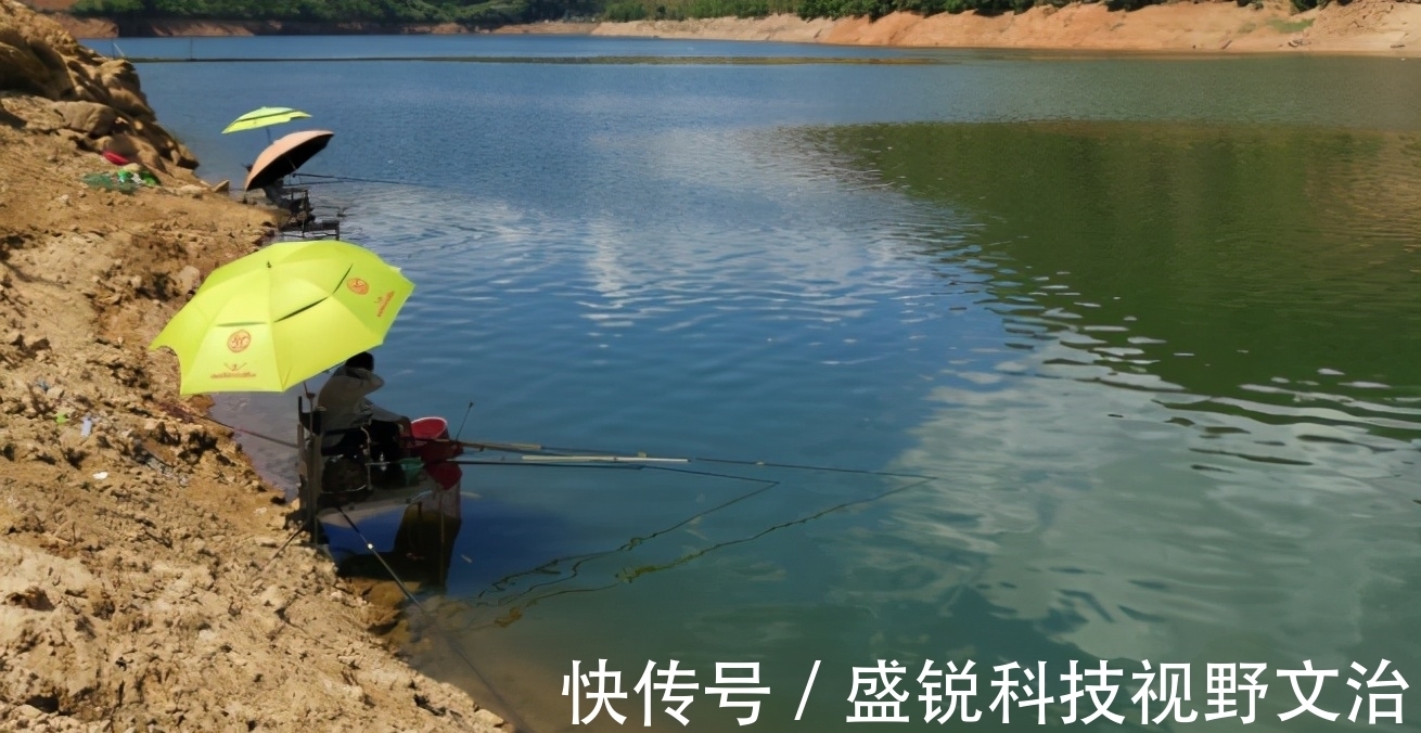 钓友|为什么你钓的鱼比别人少?就是调漂不对,稍加改变效果就不同