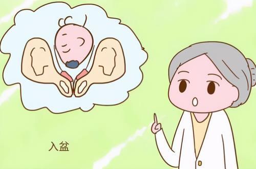 孕晚期|胎儿经常“倒立”,大头朝下不难受吗?答案与我们想的不一样