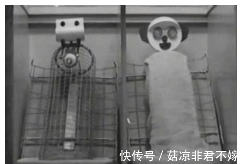 华生|用9个月婴儿实验,他的教育方法坑害千万孩童,如今竟在中国流行