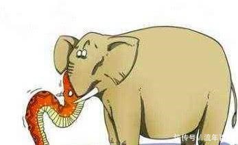 齐天大圣|《西游记》孙悟空拥有独一份的恩典, 可还不满足, 怎样才会满足!