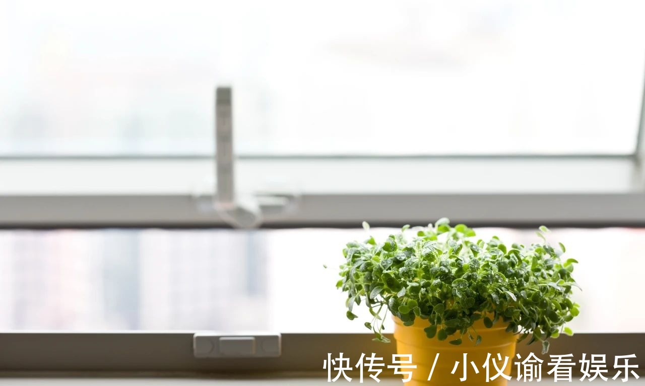 吴西逸|好暖心的30个诗句,句句精致入心,让人相见恨晚