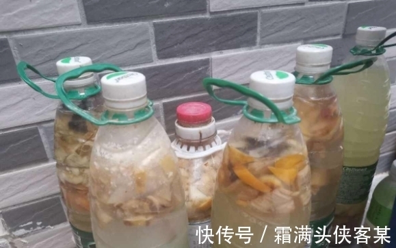 日常养花该准备什么肥？自制这3样就不错，肥效温和、材料易得