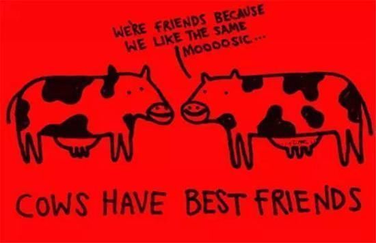 真正的朋友#你不知道的26条趣味冷知识:说脏话可以缓解疼痛