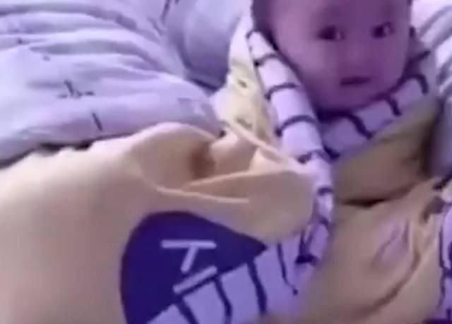 睡眠时间|妈妈在睡觉,小宝宝独自一人看电视,网友这届家长不好带