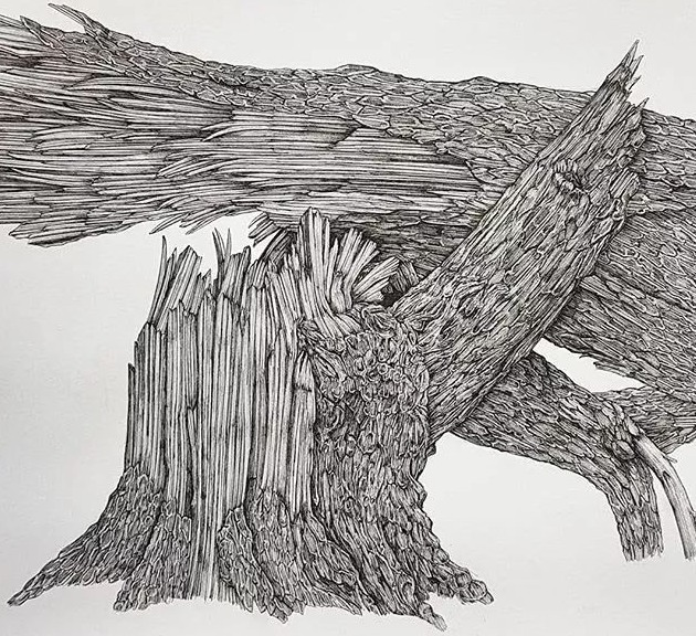 olivia@全球最“抠”美女画家,用一支2元针管笔惊艳世界