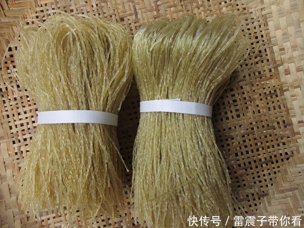 孩子不愿吃豆芽？那是你不会做！这样做香辣过瘾，成本低，还下饭