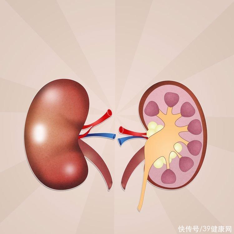 <p>3.乱用药物</p><p>是药三分毒，药物的不当使用不仅不能治病，还有可能会对肾脏造成不小损伤。常见的具有肾毒性的药物有感冒药、抗生素、中药、利尿剂和心血管疾病药物，我们在用药的时候一定要听医嘱，不能够乱吃。</p><p>4.不当饮食</p><p>喝太多含糖饮料、饮食太咸、大鱼大肉、爱喝老火靓汤等，都属于不当饮食的范畴，这类食品容易导致尿酸增高，还会增加高血压和糖尿病的风险，对肾脏十分不友好。因此均衡健康饮食是十分重要的。</p><p>5.过度劳累</p><p>长期睡眠不足，过于劳累，容易让肾功能下降速度变快，出现蛋白尿的风险也会变高，进而对肾脏造成进一步损害。保证睡眠充足、得到良好的休息可以让肾脏更加健康。</p>
