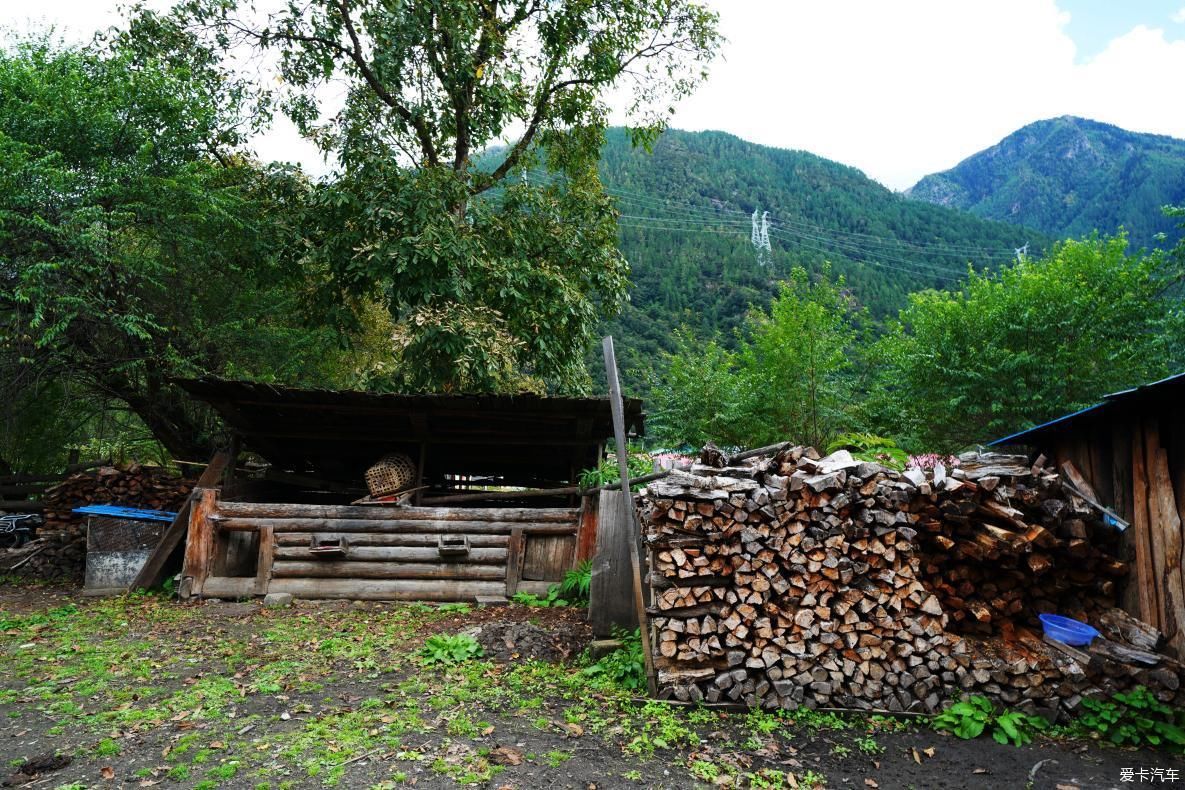 独自自驾游 欣赏最美的岗云杉林 体验环藏之旅的慢生活