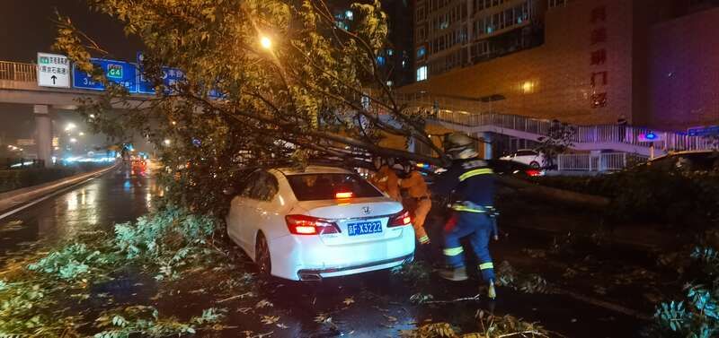 消防员们|北京昨夜暴雨“拔”起大树砸车顶 消防成功营救多起被困群众