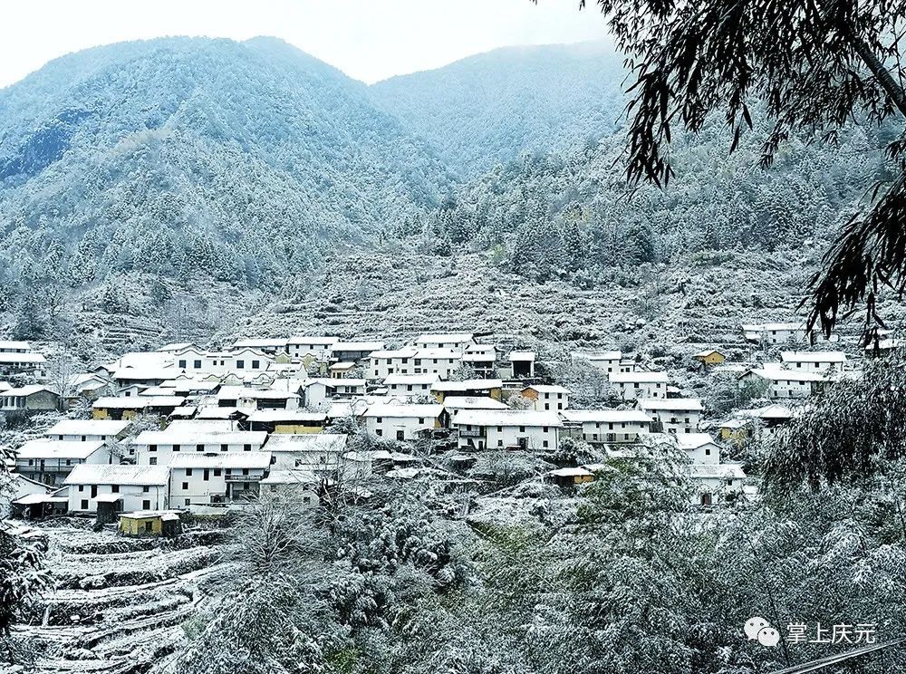 胡惠菲|庆元绝美雪景大片，上新了！