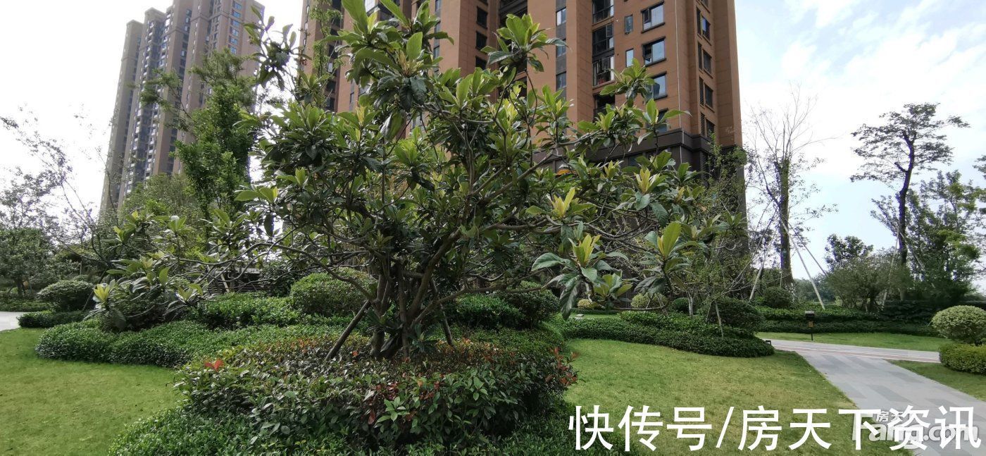 楼盘|广大城新拍现场图片,实时了解楼盘新动态