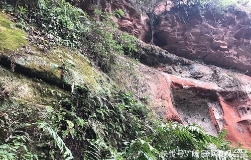 广东老人拍下一张照片,获奖5千元,25年后却说:奖励少了,要280万