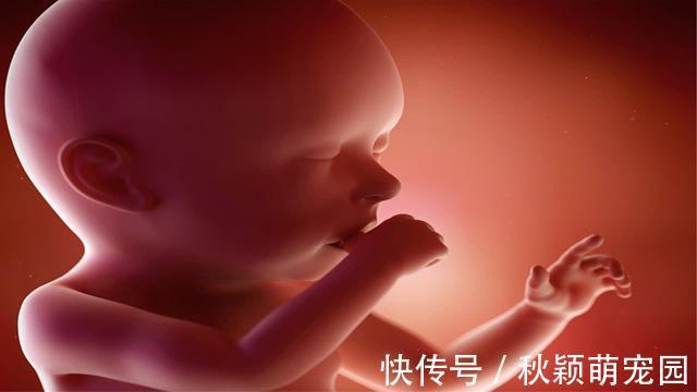 热爱运动|原来孕期从这个月开始,胎儿性格就能看出来了,孕妈你是哪一款?