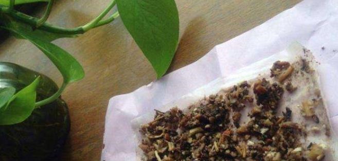 家庭养花必不可少的4种“好材料”,不花一分钱,配土透气又透水