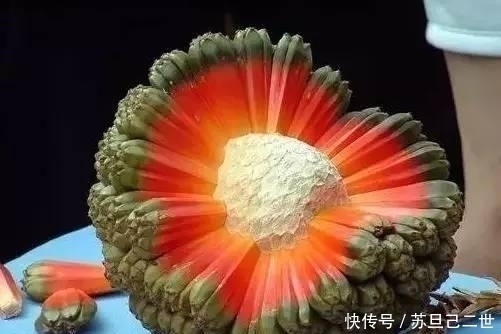 火天桃|世界上最罕见的15种水果, 你们吃过几种呢?