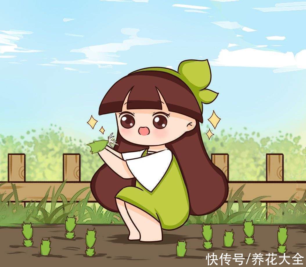 剪片叶子，放土里就能长出一盆，这4种花养到就是赚到