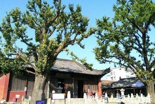 大成殿|安徽寿县这座孔庙建于元朝，已有700多年历史，还是我国最大孔庙