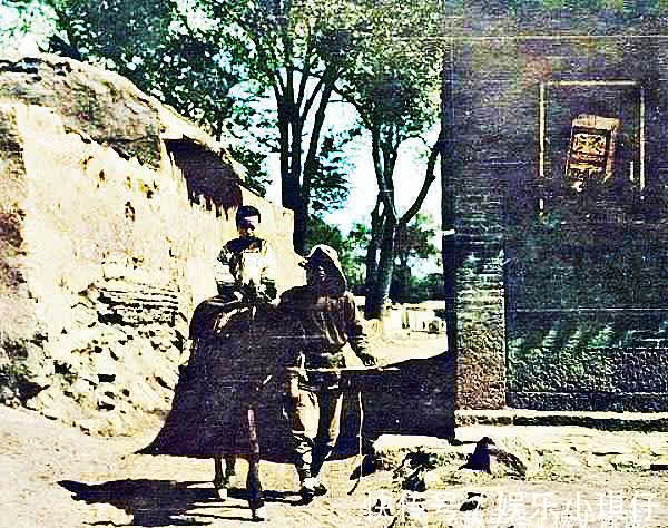 马六!清代奇案:老父被害,落下两个果子,知县慧眼擒凶,破解离奇命案