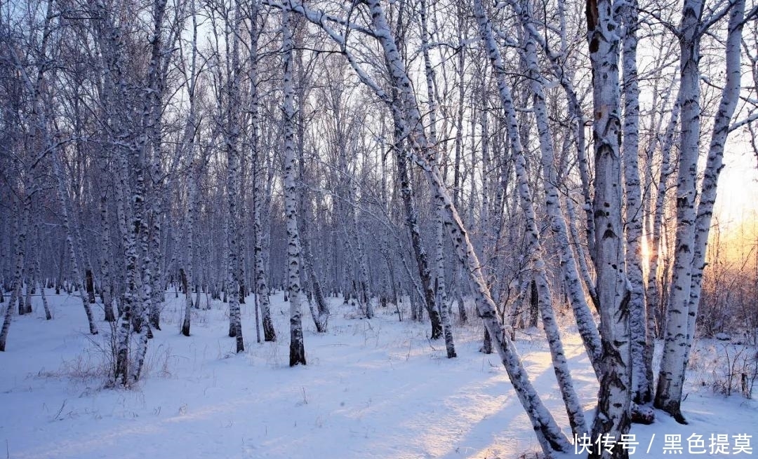 比东北“亚雪”还美的公路，这条小众边境天路，资深驴友都想去！