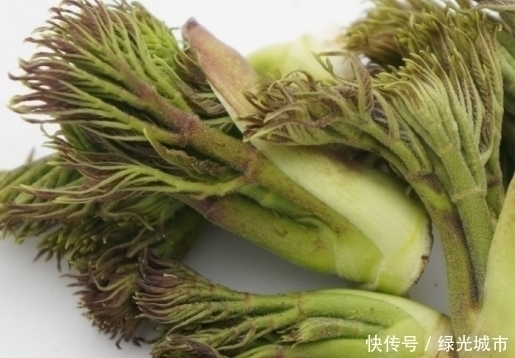 抑郁|比人参还“贵”的植物,男人吃了强“肾”,也是抑郁良药