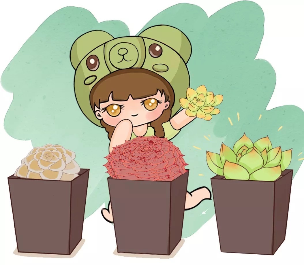 橙梦露|自从养了这8种多肉,我就没出过门,太“毒”了