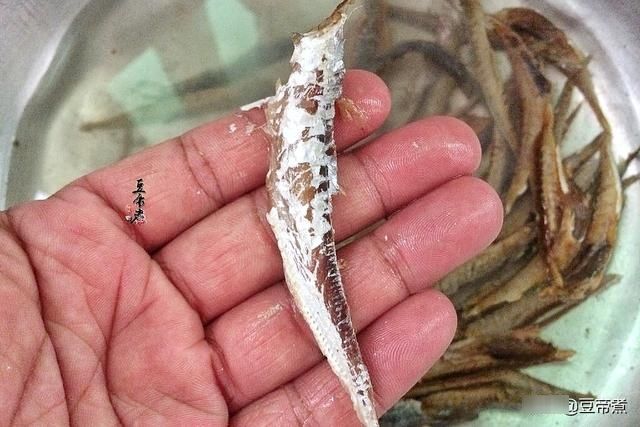 小菜|家常小菜一道,花费不超过10块钱,不管是下饭下粥还是下酒都适合