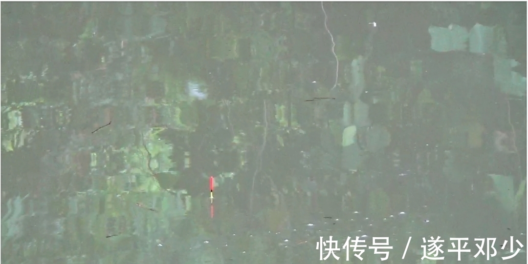 大鱼进窝的征兆你要懂，你若懂了离钓到大鱼就不远了！