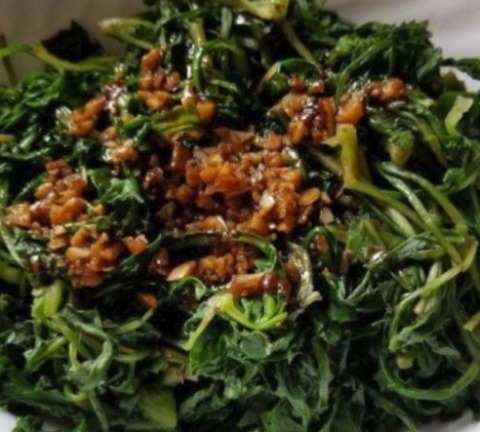 “蒲公英的约定”这种常见的野菜原来还有清肠的作用!