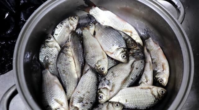 鲫鱼豆腐汤熬好了,又鲜又白还美味,加热水还是凉水是重点