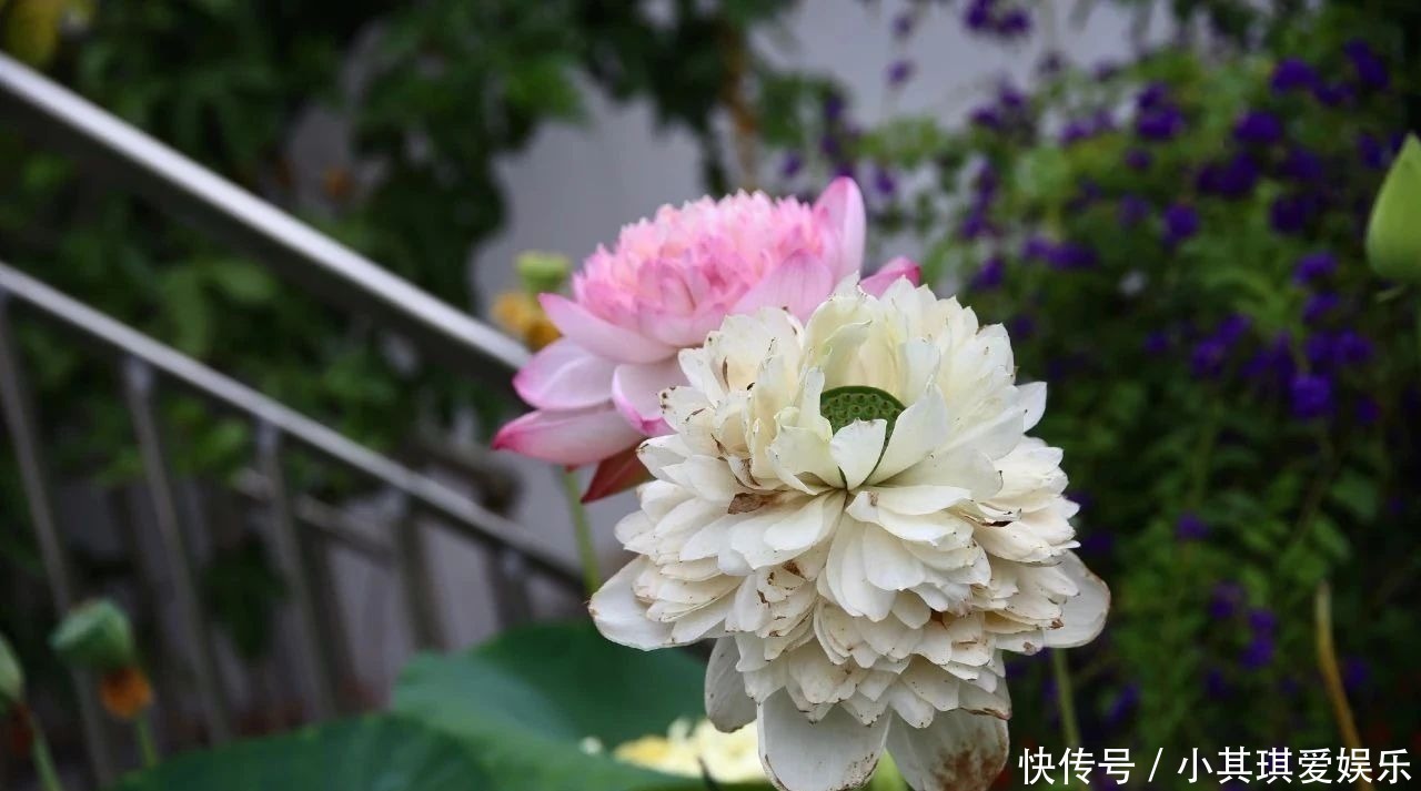 中国历史@记住老祖宗这三句话,家庭兴旺之本,句句值千金