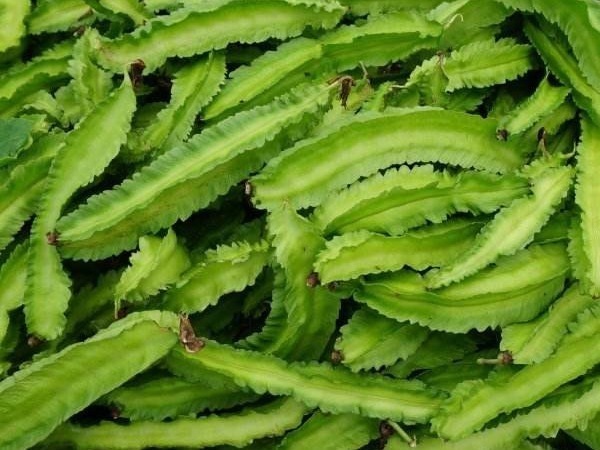 女性|女性40以后常吃“碱性食物之王”,不用化妆品,皮肤都白皙嫩滑!