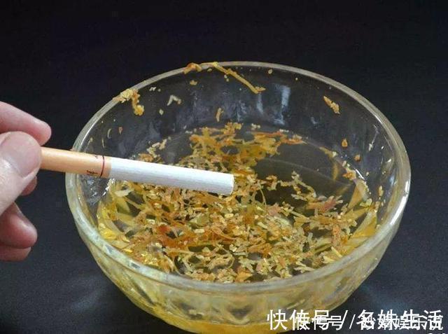 沙子|盆里埋点它，小虫子全没了，花越长越茂盛！