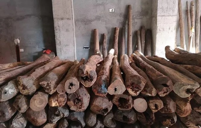 寸金|寸檀寸金:让你真正的认识小叶紫檀