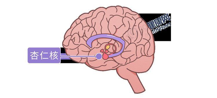 地理科学|为什么听到划黑板的声音，就浑身起鸡皮疙瘩？大多数人没想到