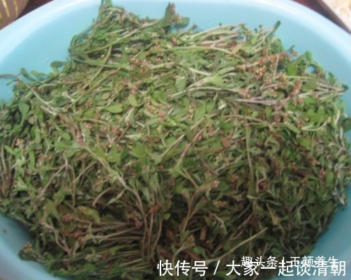 泡脚|立秋后女人睡前坚持用艾叶“泡脚”，坚持一周，2大好事不请自来