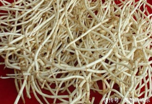找到|“嘌呤大王”已找到,若这三种调料早下桌,尿酸或能慢慢稳定下来