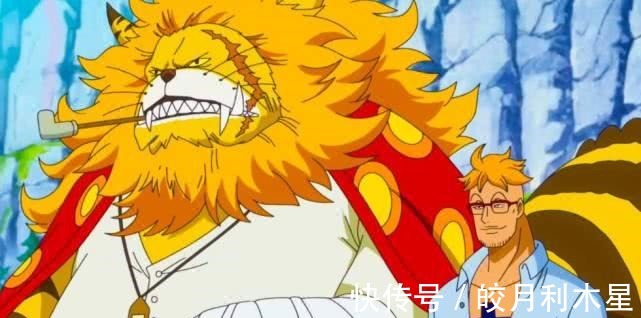 船员|《海贼王》中,强大的白胡子,当年为何会选择加入洛克斯海贼团呢
