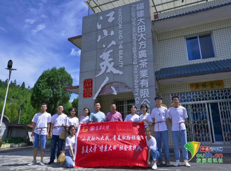 高山美人茶|品高山美人，悟多彩人生