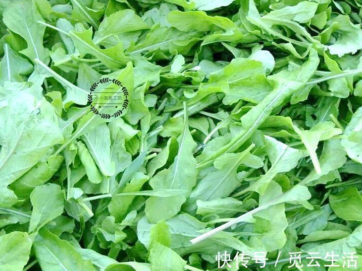这菜,很多人只吃果实,其实叶子才是宝贝,如今有钱也难买到