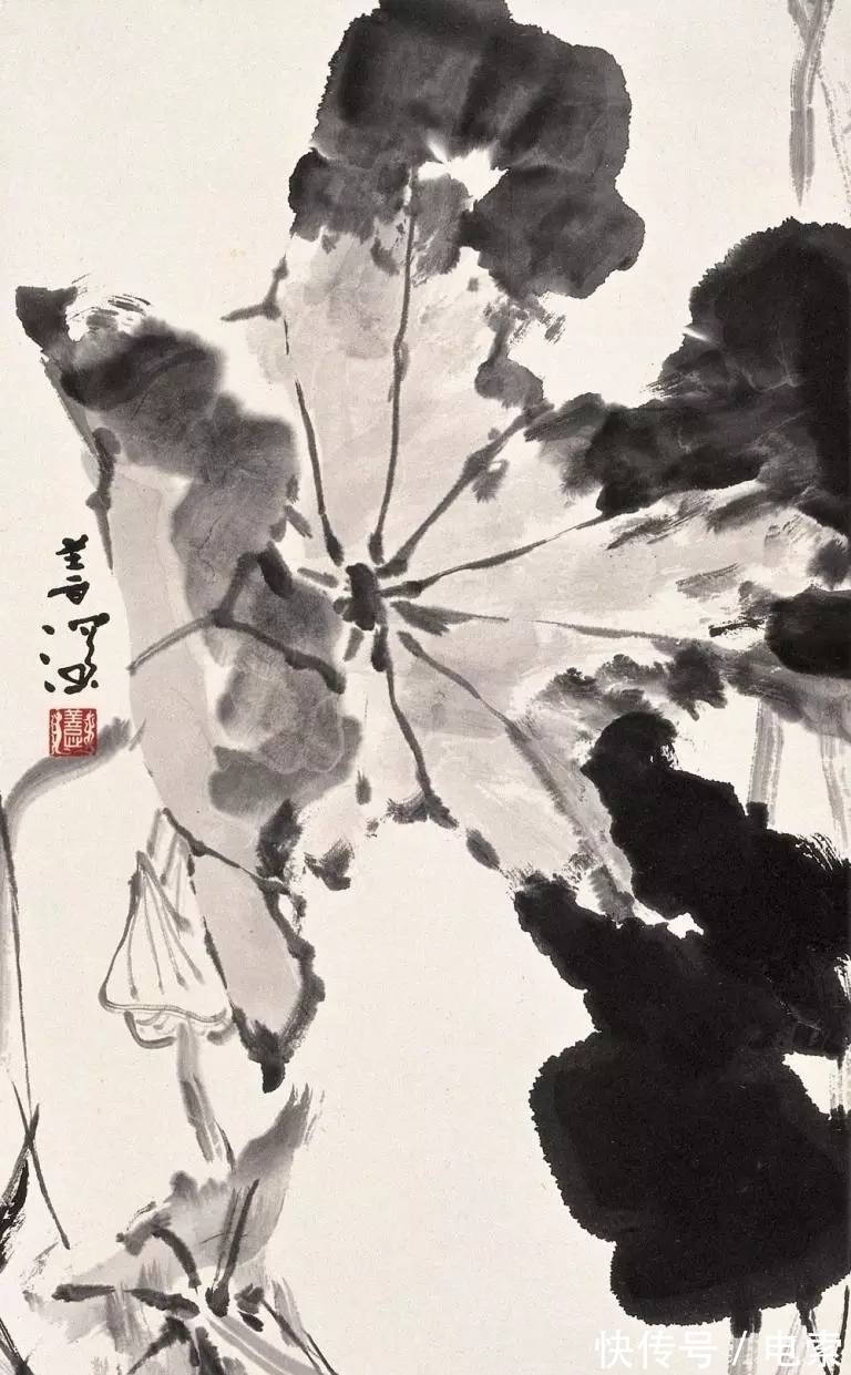 赵少昂|杨善深作品欣赏