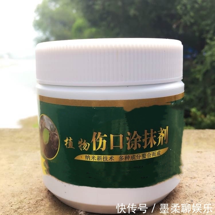 伤口愈合|修剪黄荆老桩头你还在用草木灰涂抹剪口吗伤口愈合剂了解一下