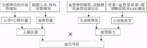 高血压|高血压治疗有了新见解,舒张压不存在“危险低值”