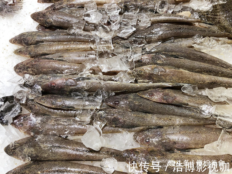 想吃鱼,就买此6种,目前无法人工养殖,都是野生鱼,放心吃吧