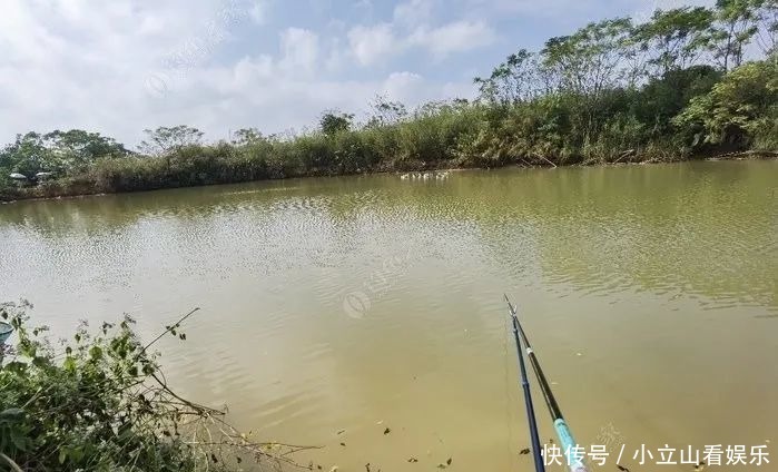 手感|分享我用过最顺手的5根鱼竿,请多指教~