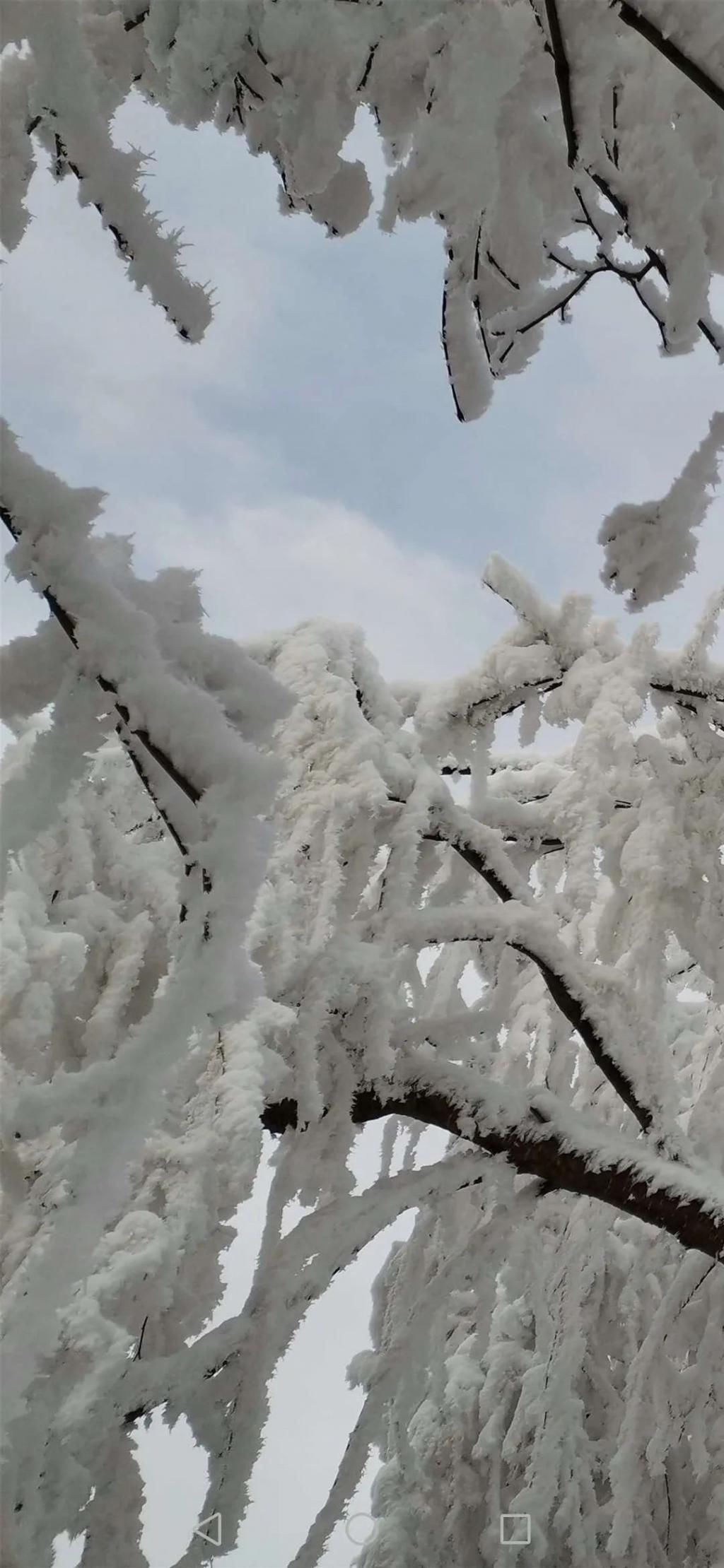 地方|汶川下雪了！这些地方，你最想去哪个？