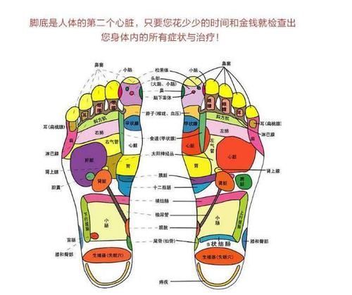 脚是人的“第二心脏”，6个习惯坚持到底，身体会感激你！