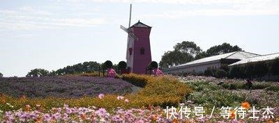 外国游客|推荐我国适合“养老”的6个宝地，环境好消费也不高，适合居住