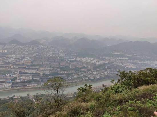 酒店|酒乡茅台的寄生族:撸酒的黄牛 酒店外蹲点的售酒人