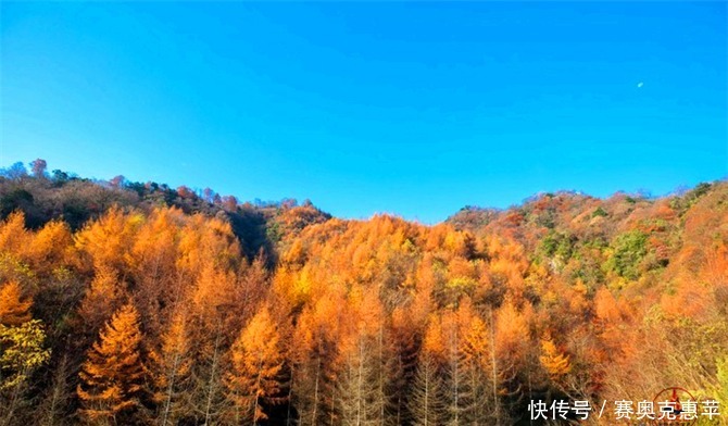  秋天|秦巴山区的旅游景点，夏天是天然氧吧，秋天是中国红叶之乡